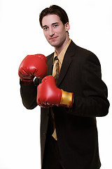 Image showing Business boxer