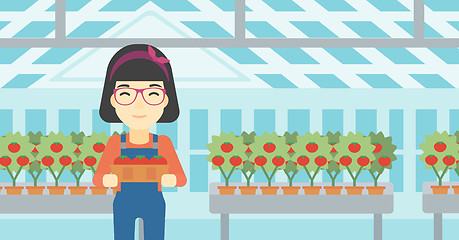 Image showing Farmer collecting tomatos vector illustration.