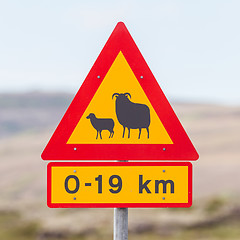 Image showing Real Sheep Crossing traffic sign