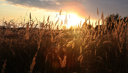 Image showing sunset over field at autumn