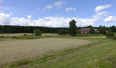 Image showing Farmland