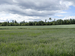 Image showing Farmland