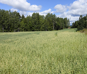 Image showing Farmland