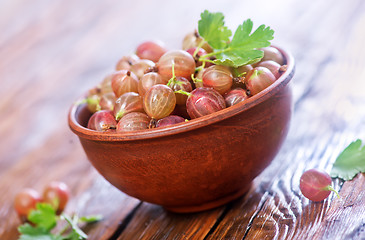 Image showing gooseberry