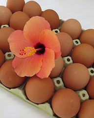 Image showing Spanish eggs