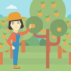 Image showing Farmer collecting oranges vector illustration.