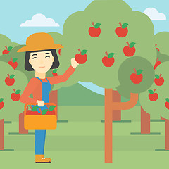 Image showing Farmer collecting apples vector illustration.