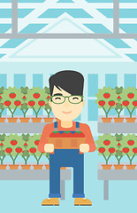 Image showing Farmer collecting tomatos vector illustration.