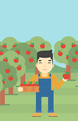 Image showing Farmer collecting apples vector illustration.