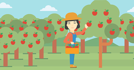 Image showing Farmer collecting apples vector illustration.