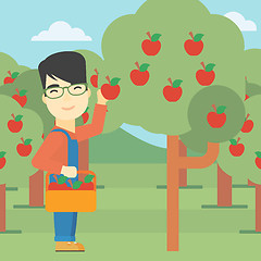 Image showing Farmer collecting apples vector illustration.