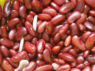 Image showing Kidney beans legumes vegetables