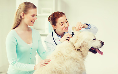 Image showing happy woman with dog and doctor at vet clinic