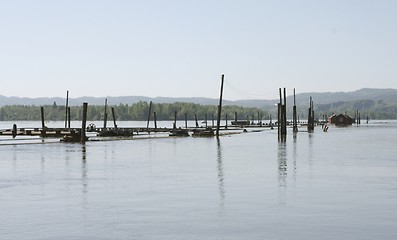 Image showing The river