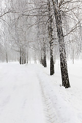 Image showing winter road with snow