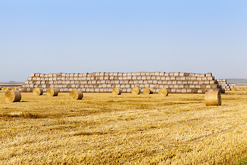 Image showing haystacks in a field of straw