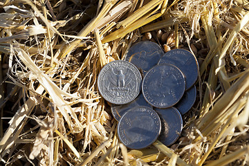 Image showing coin in the straw