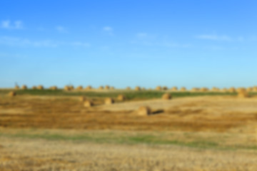 Image showing stack of straw in the field