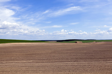 Image showing plowed land. close-up