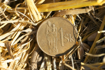 Image showing stack of straw in the field