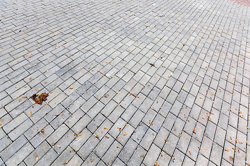 Image showing paving tiles, close-up