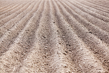 Image showing plowed field, furrows