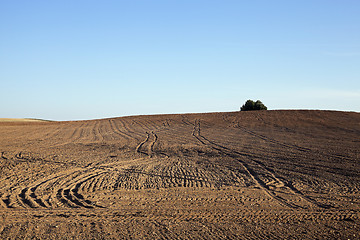 Image showing plowed agricultural field