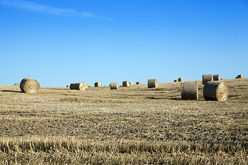 Image showing stack of straw in the field