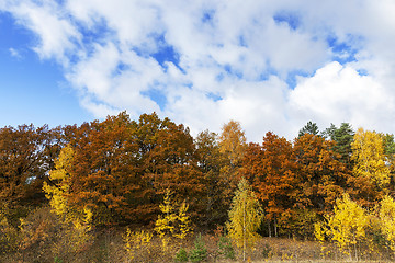 Image showing Nature in autumn season