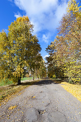 Image showing Nature in autumn season