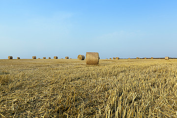 Image showing stack of straw in the field