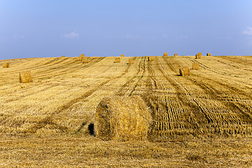 Image showing stack of straw in the field