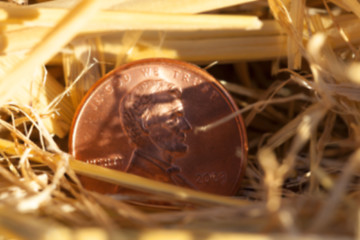 Image showing coin in the straw