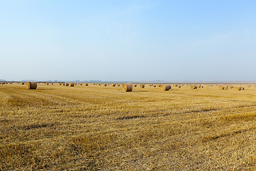 Image showing haystacks in a field of straw