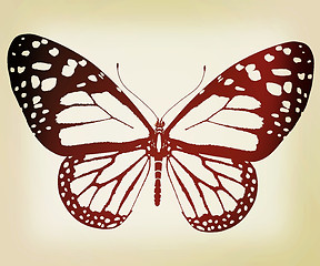 Image showing beauty butterfly. 3D illustration. Vintage style.