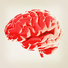 Image showing Human brain. 3D illustration. Vintage style.