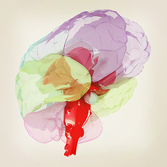 Image showing Human brain. 3D illustration. Vintage style.