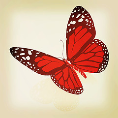 Image showing beauty butterfly. 3D illustration. Vintage style.