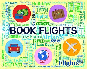 Image showing Book Flights Shows Ordered Airplane And Reservations