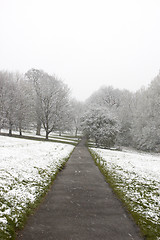 Image showing Winter path