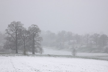 Image showing Winter