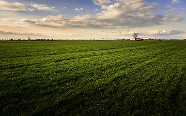 Image showing Cultivated land with cloudy sky