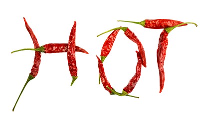 Image showing chili pepper isolated