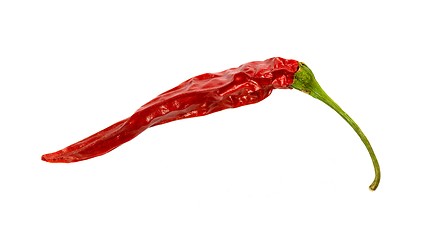 Image showing chili pepper isolated