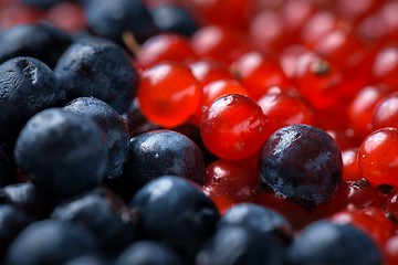 Image showing Berries closeup photo