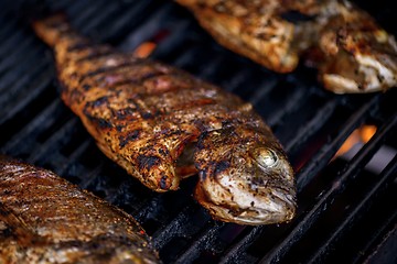 Image showing Delicious grilled fish