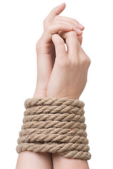 Image showing Tied hands, isolated  white