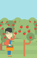 Image showing Farmer collecting apples vector illustration.