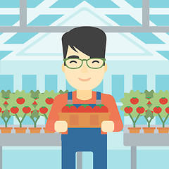 Image showing Farmer collecting tomatos vector illustration.