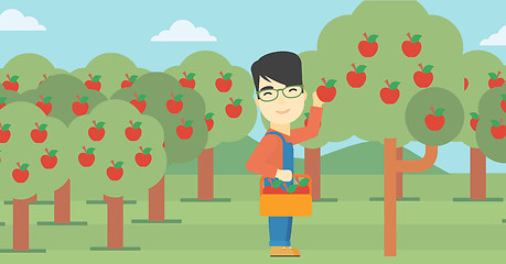 Image showing Farmer collecting apples vector illustration.